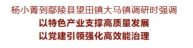 鄢陵大马镇镇长_鄢陵县大马镇领导名单_