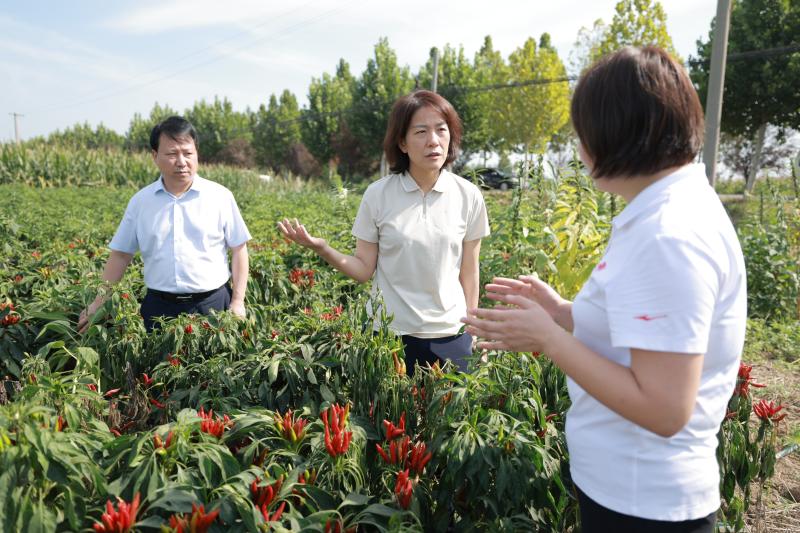 _鄢陵县大马镇领导名单_鄢陵大马镇镇长