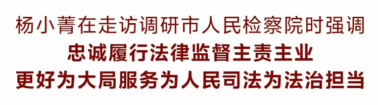 _人民检察院杨兴国_杨检察长
